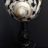 Cabinet of Curiosities shell cittarium pica on pedestal