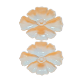Old vintage porcelain cups XIXth century