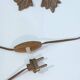 Lampe sculpturale Grappe de raisins verre de Murano 1960s