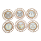 6 coasters in wooden wicker and butterfly background