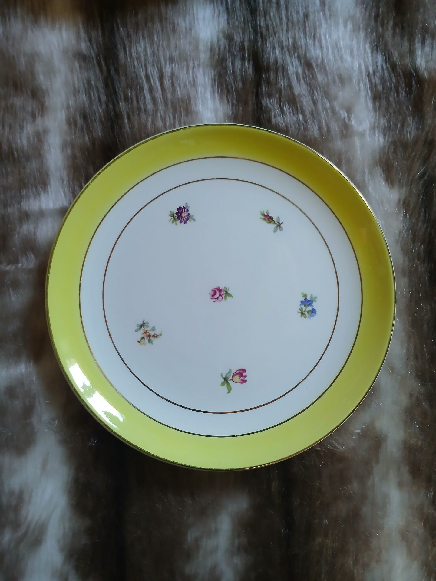10 assiettes à dessert anciennes Gien 