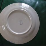 St Clement's field floral decoration plate