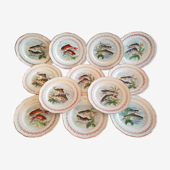 Service 12 assiettes Ø 24 cm décor poissons Porcelaine de France Digoin