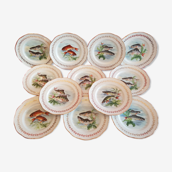 Service 12 plates - 24 cm decorated fish Porcelaine de France Digoin