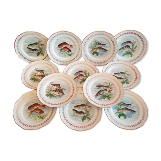 Service 12 assiettes Ø 24 cm décor poissons Porcelaine de France Digoin