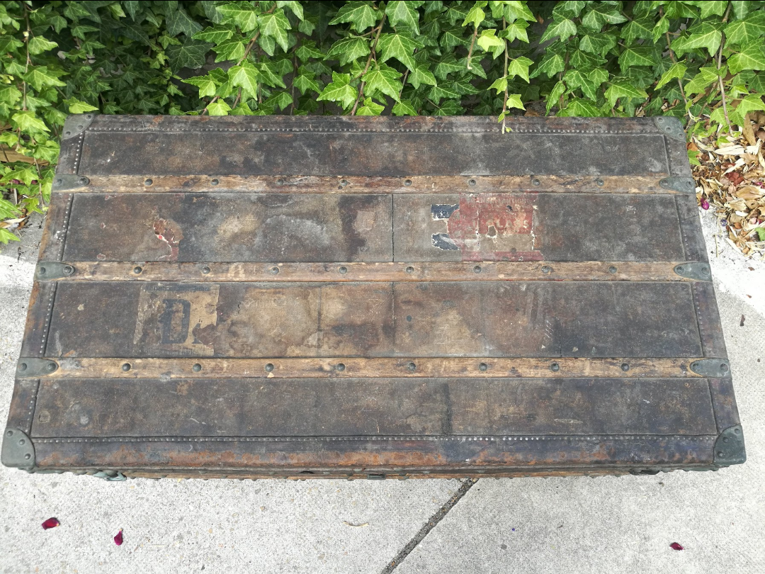 Malle Vuitton vintage