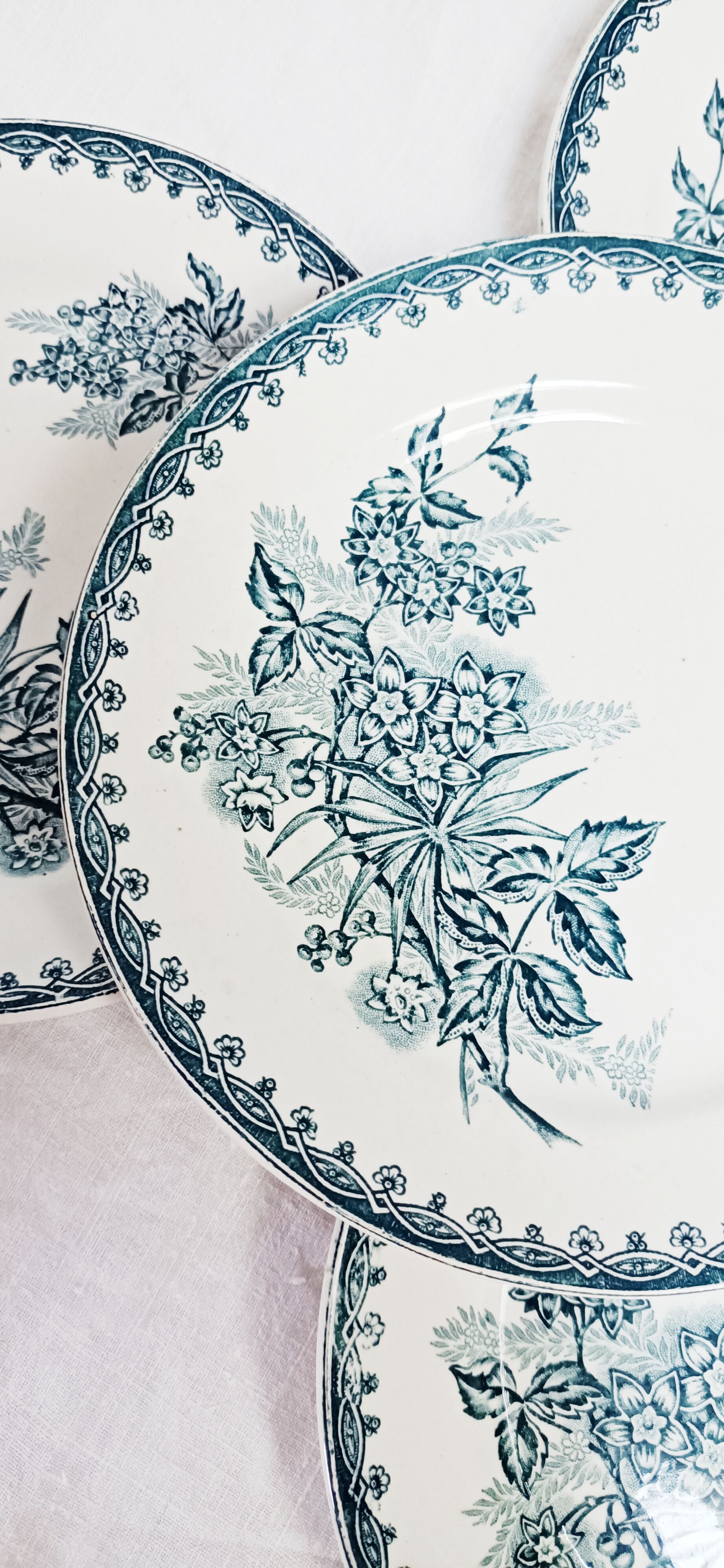 Set of 4 flat plates, iron earth, Société Amandinoise, Margot