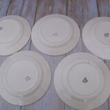 Set of 5 flat plates