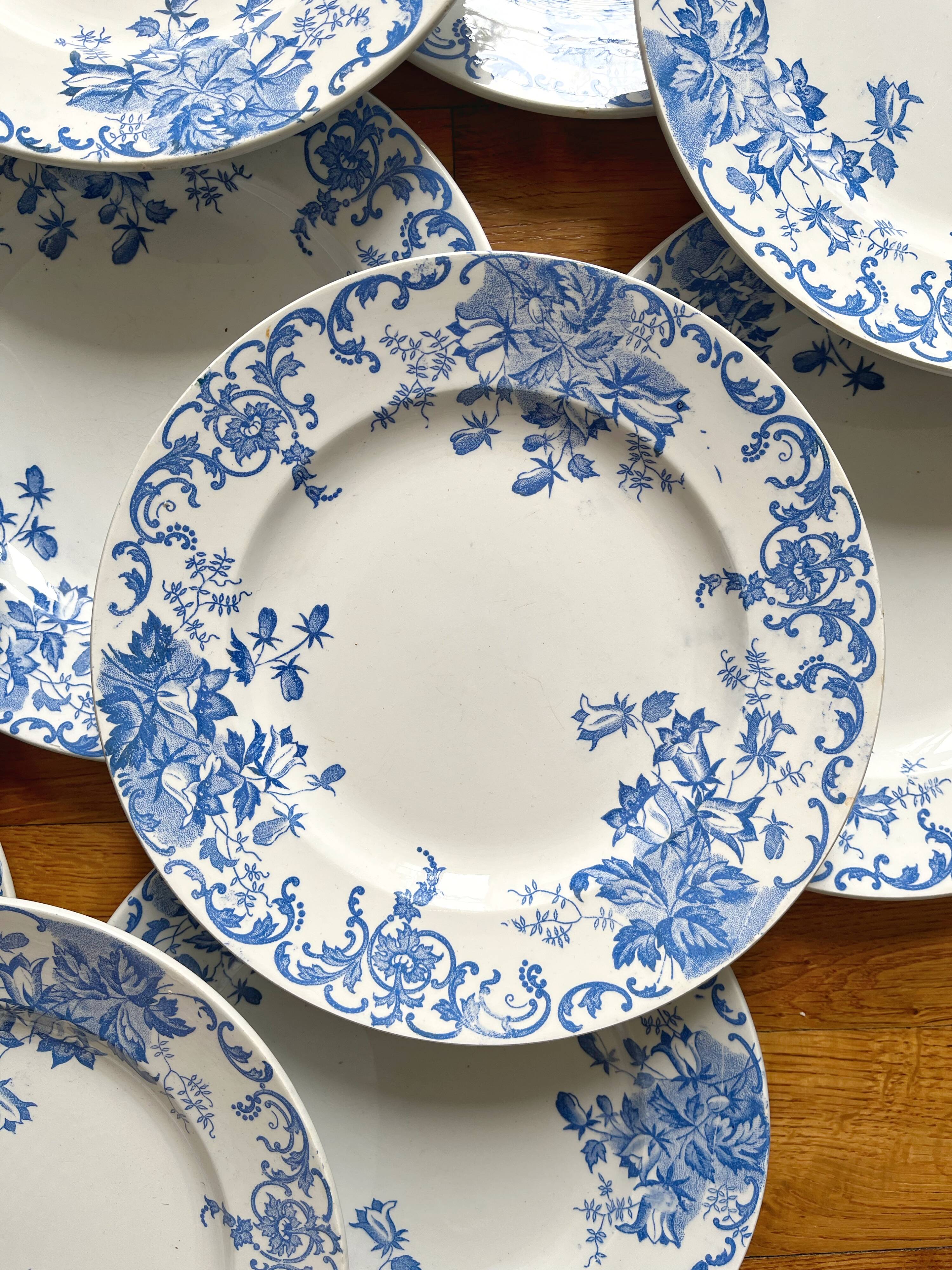 12 small flat plates "Campanule" Saint Amand and Hamage