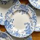 12 small flat plates "Campanule" Saint Amand and Hamage
