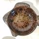 Set of 7 fish-shaped plates signed MARIUS GIUGE circa 1970