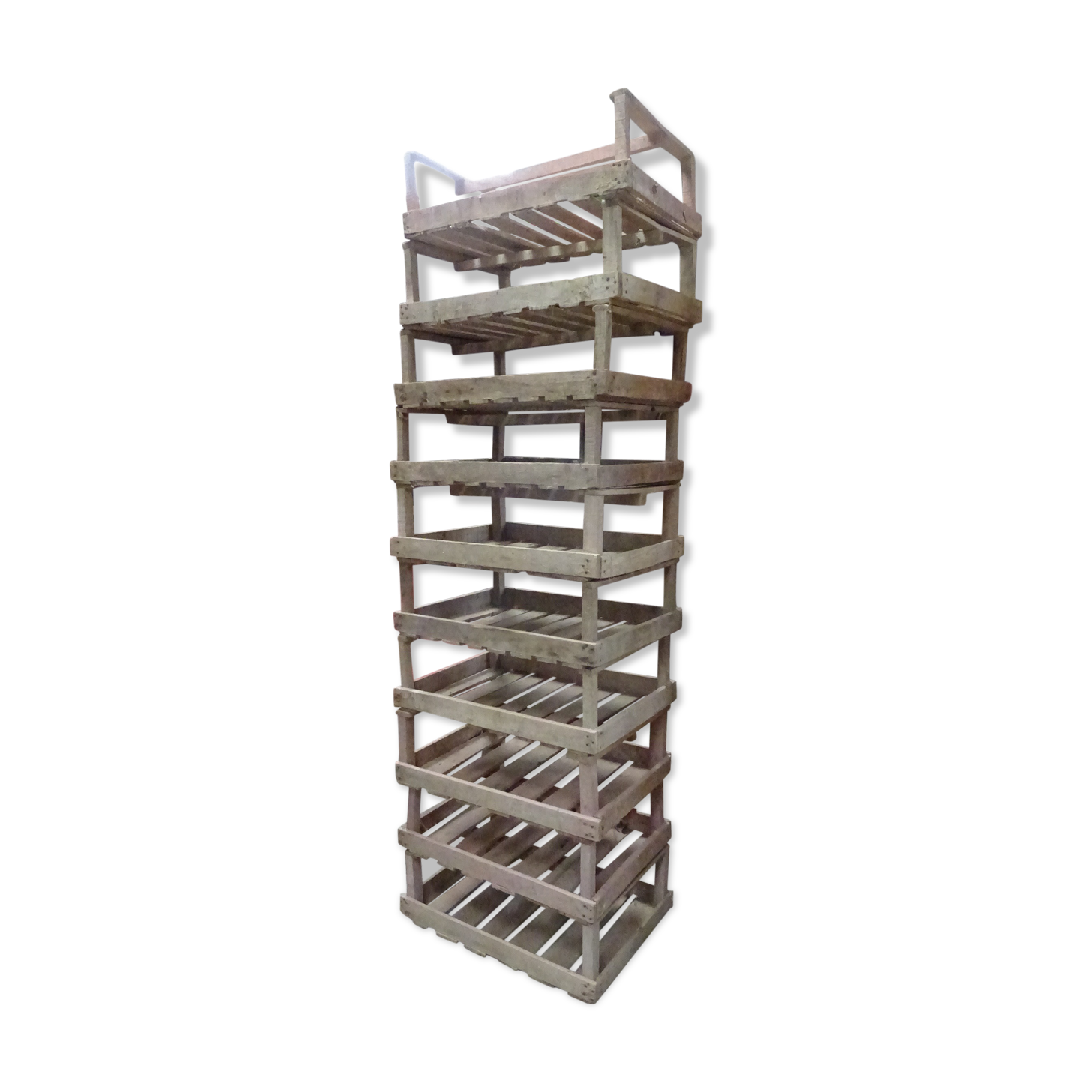 10 fruit shelves