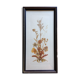 Frame dried plants