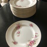 16 plates earth of iron Saint Amand