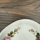 Flat plates Gien Champs