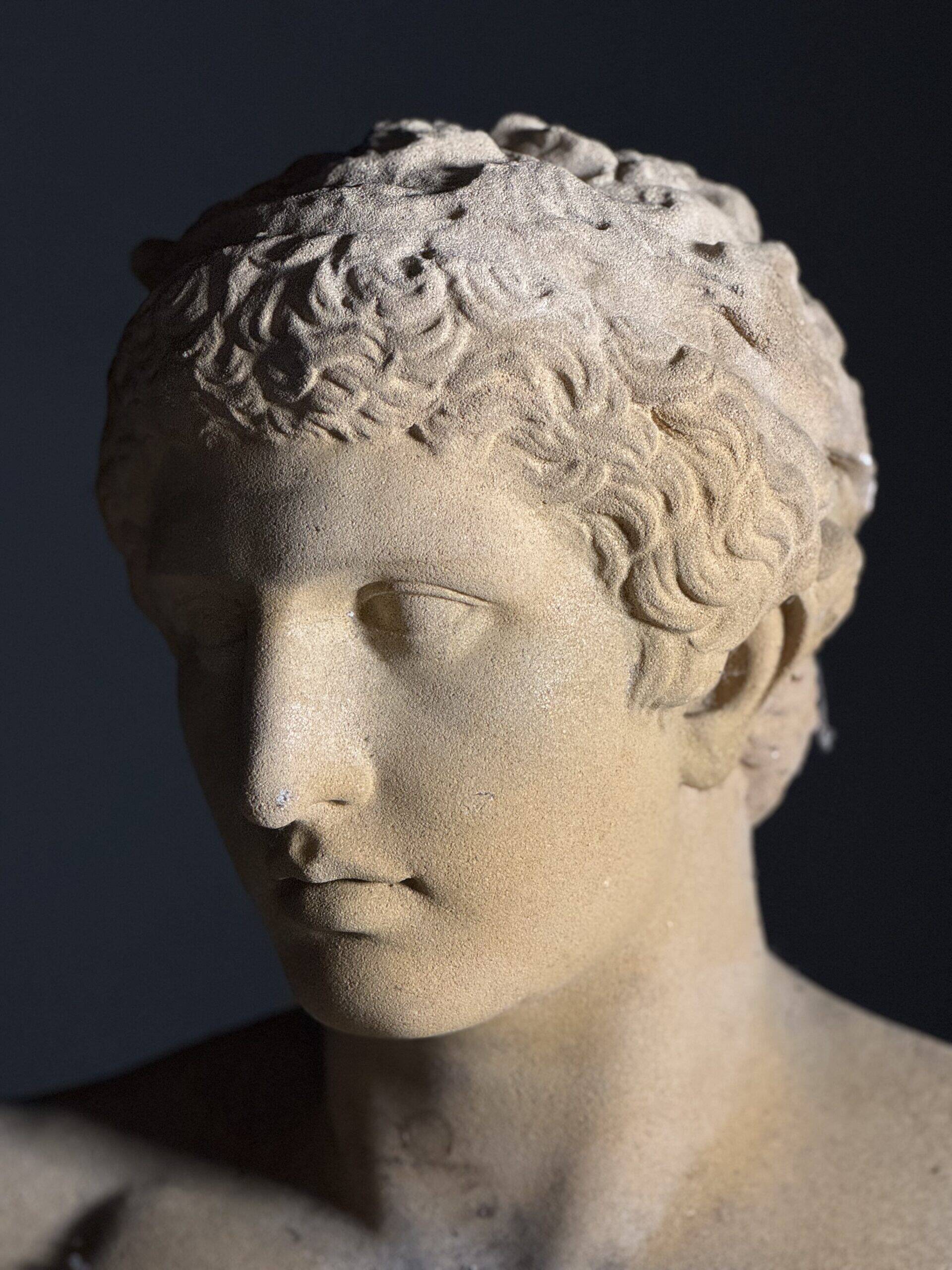 Bust on pedestal 20th century Antinous
