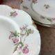Plates Haviland Limoges 1900 - floral decoration liberty