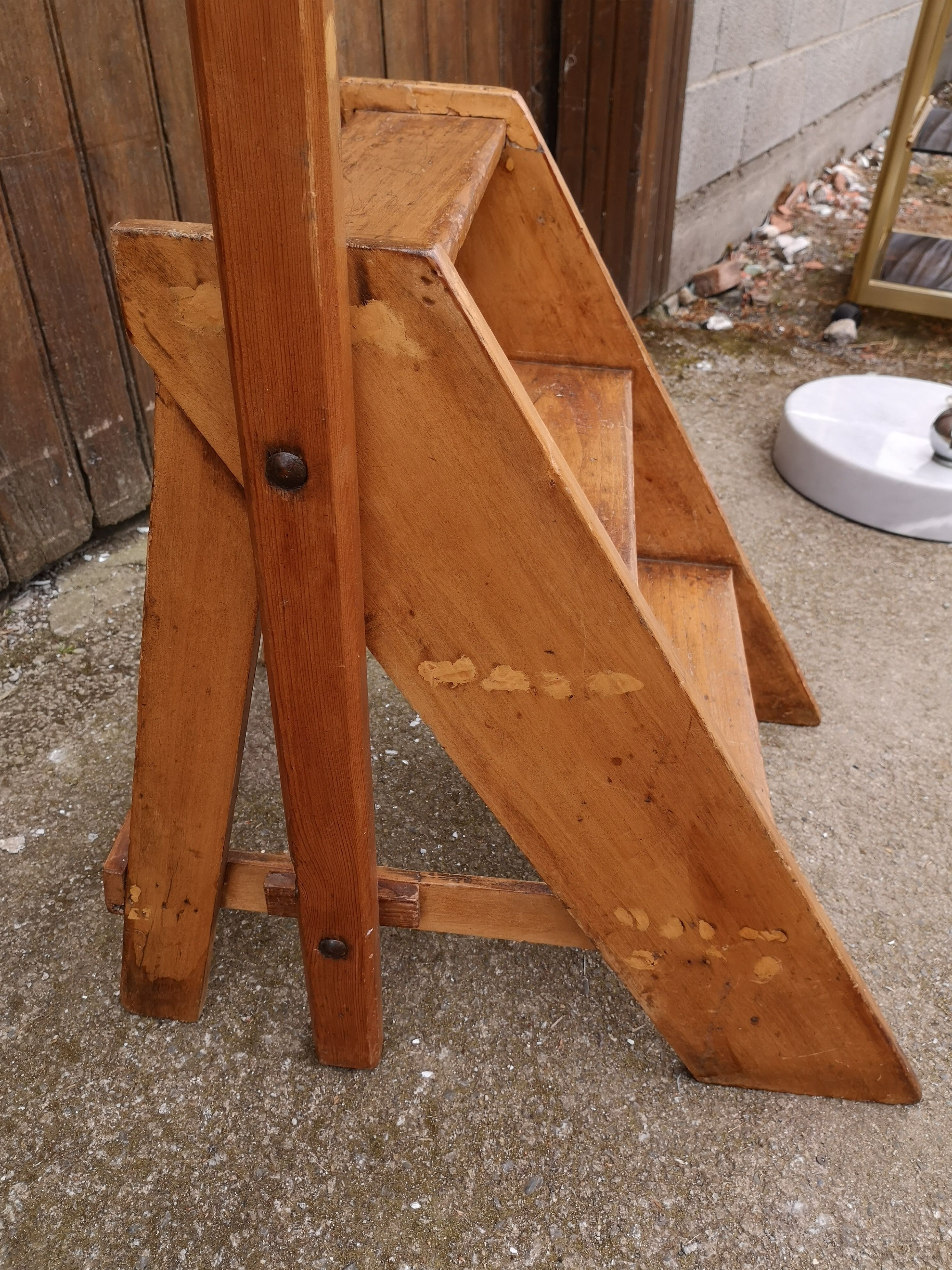 Library ladder said giraffe