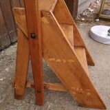 Library ladder said giraffe