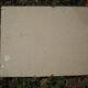 Canvas on cardboard 33/24