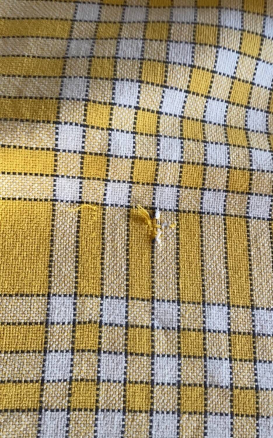 checkered tablecloth 1970