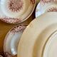 Set of 9 old ironstone hollow plates - Jardinière de Saint Amand