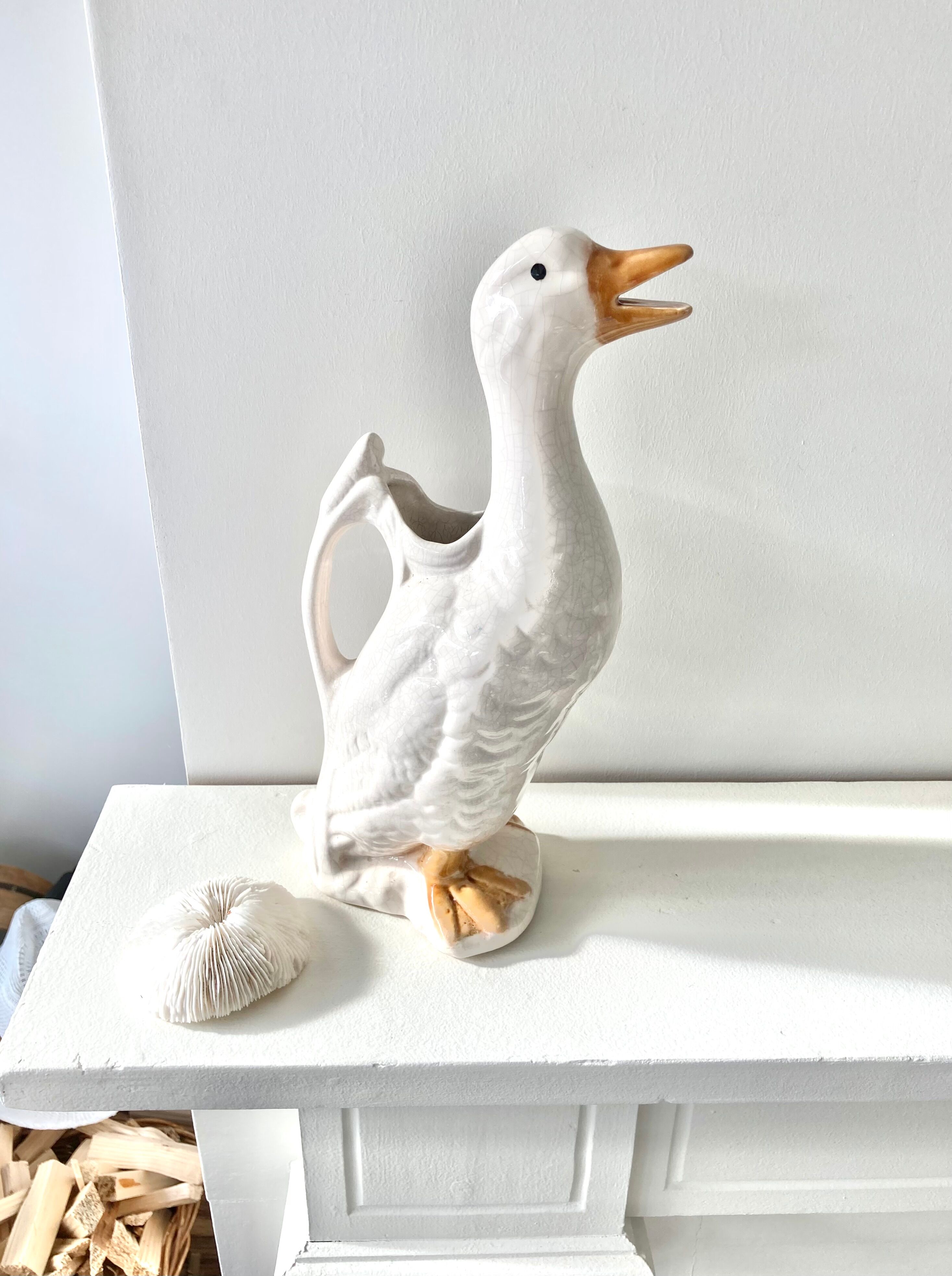 Pitcher duck slurry St Clément