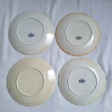 Vintage blue dinner plates