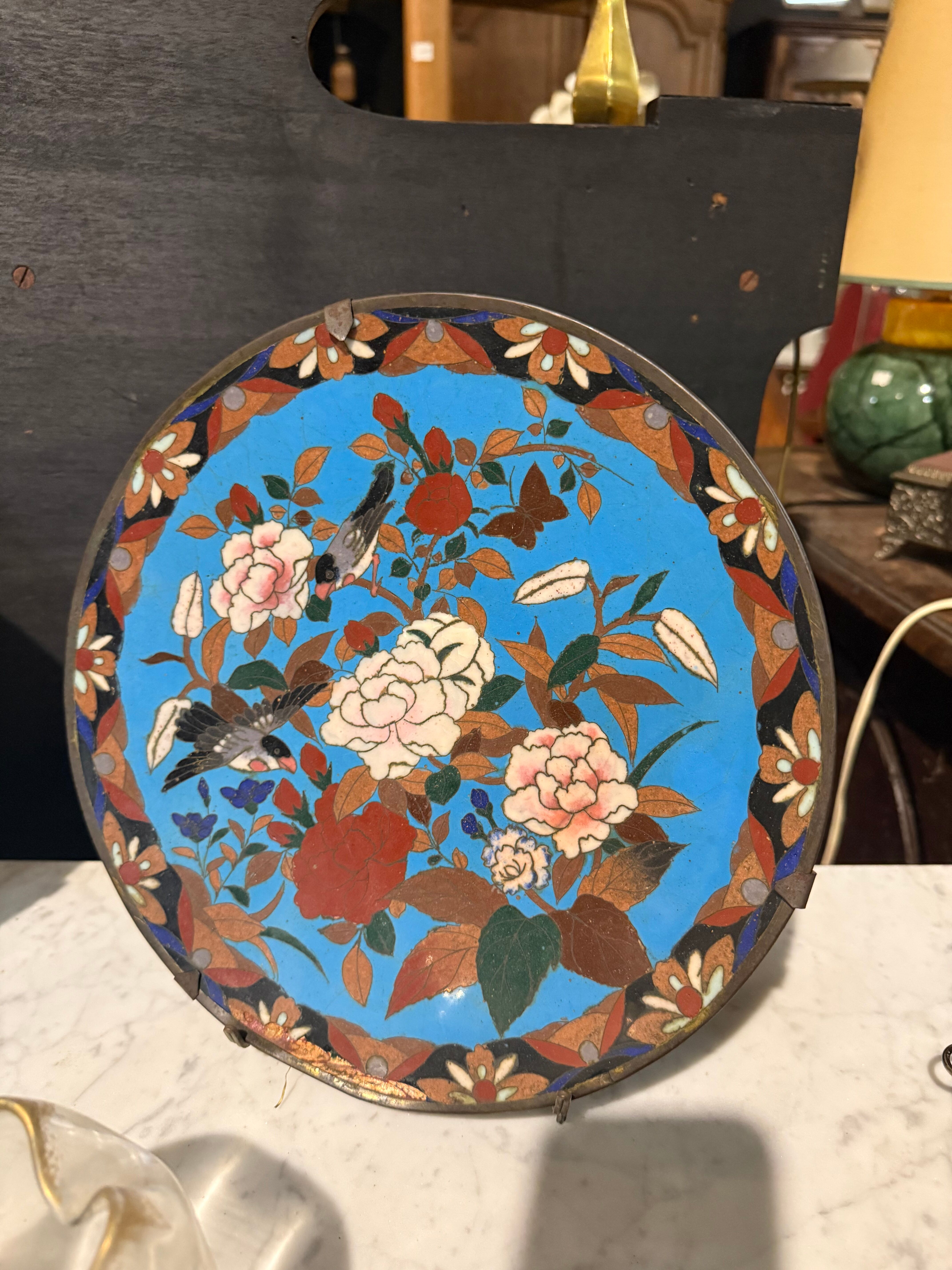 Partitioned plate