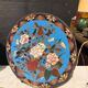 Partitioned plate