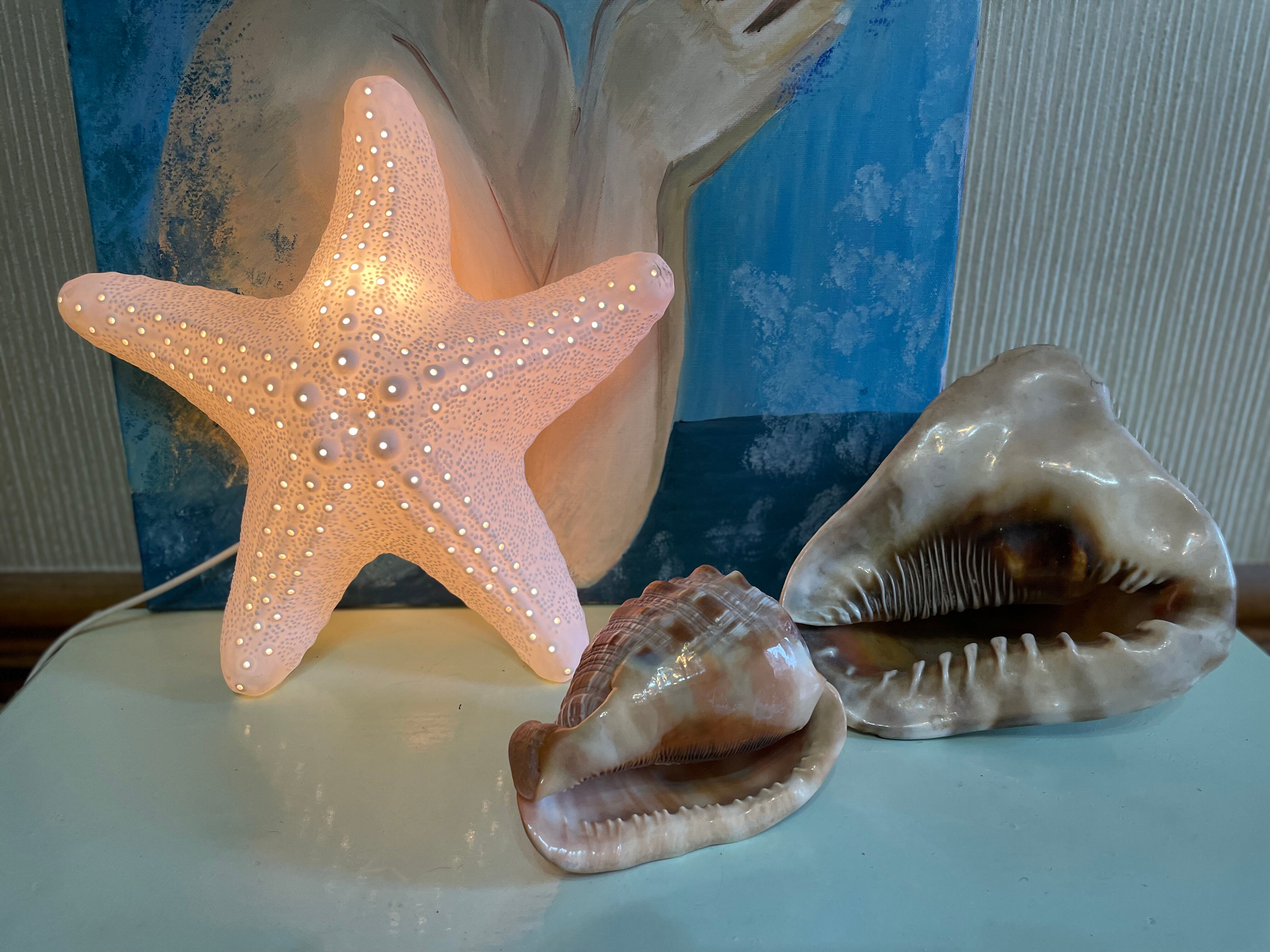 Porcelain wall lamp starfish design