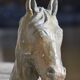 French school, Horse's head (circa 1940)