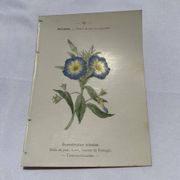 Gravure botanique planche naturaliste 19eme double face