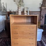 Library chest of drawers 1960