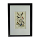 Planche originale ornithologique " Chardonneret - Grand Tangara -&c..." Buffon 1837