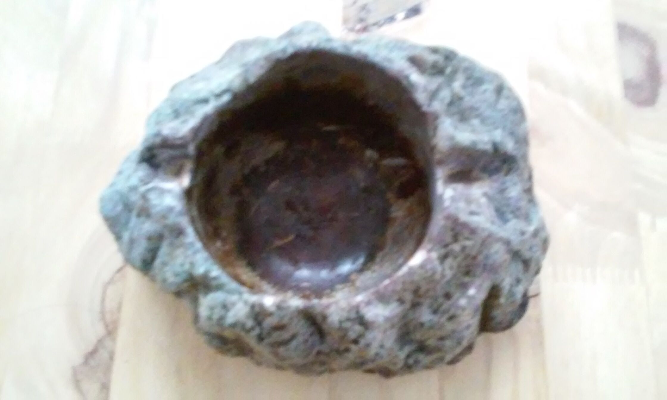 Ashtray in petrified wood