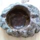 Ashtray in petrified wood