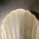 Glass shell wall lamp