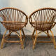 Pair of rattan shell armchairs 60s