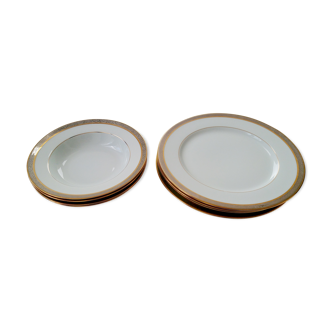 8 Limoges plates