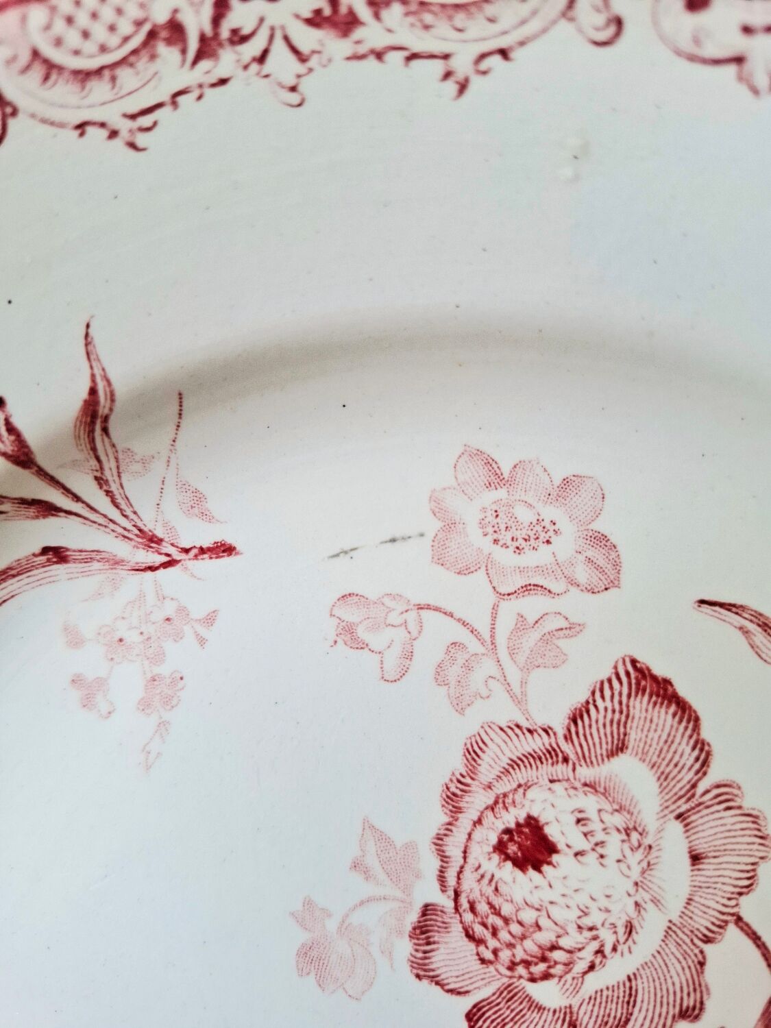 Antique mounted plate in ironstone earthenware.