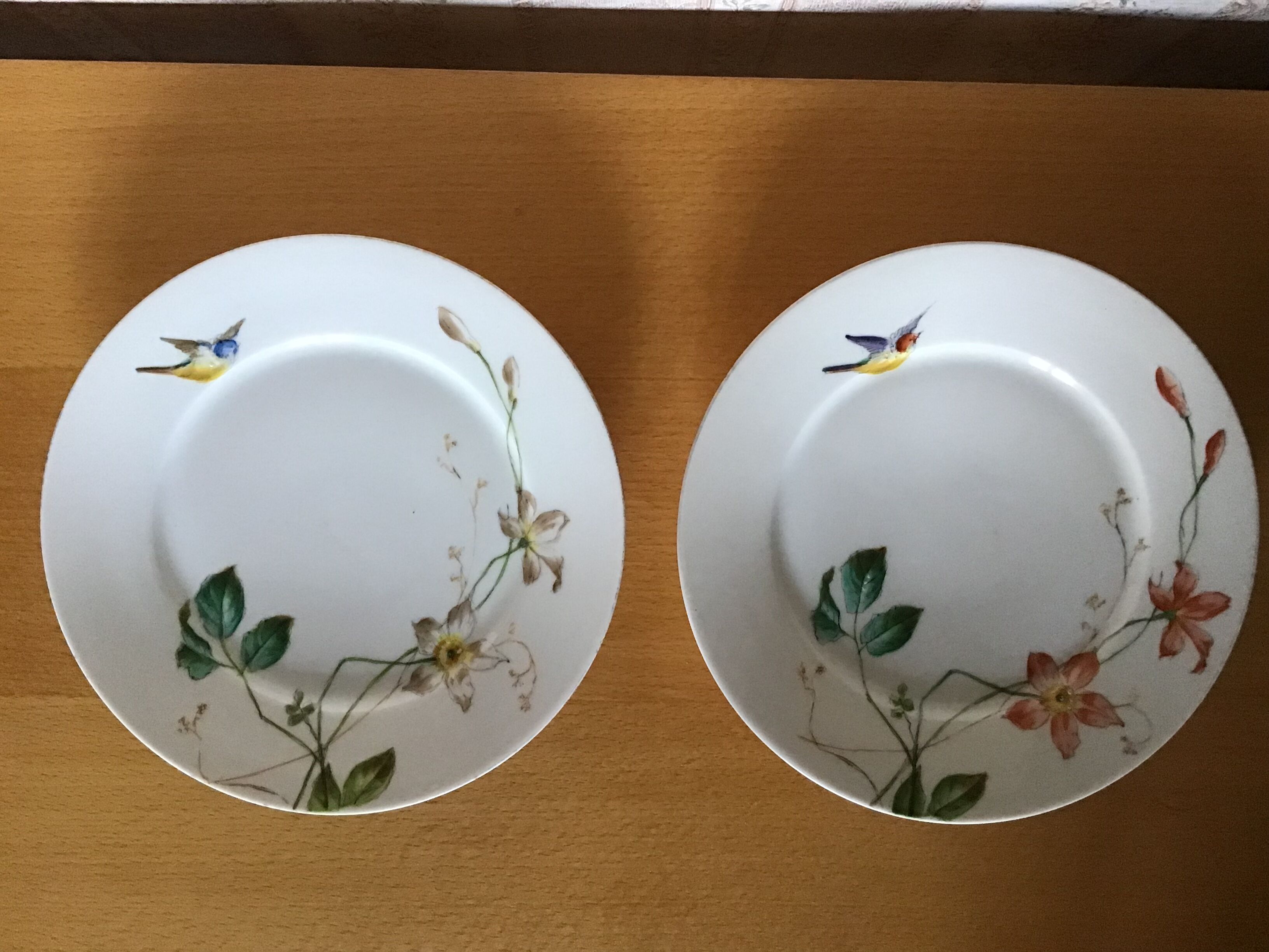 8 porcelain plates 21cm