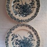 Duo of ironstone plates