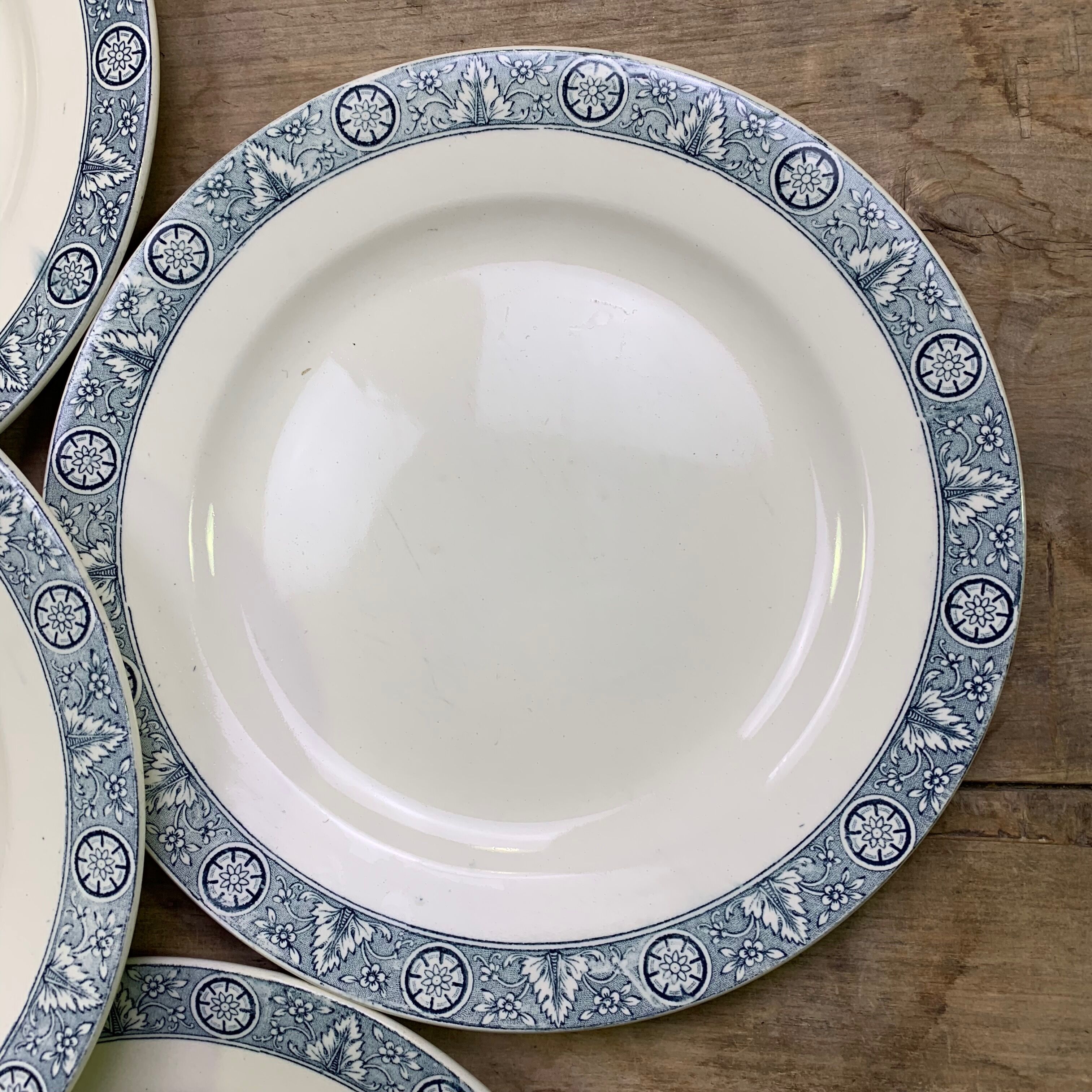 Set of 6 dinner plates Earth iron Lamartine