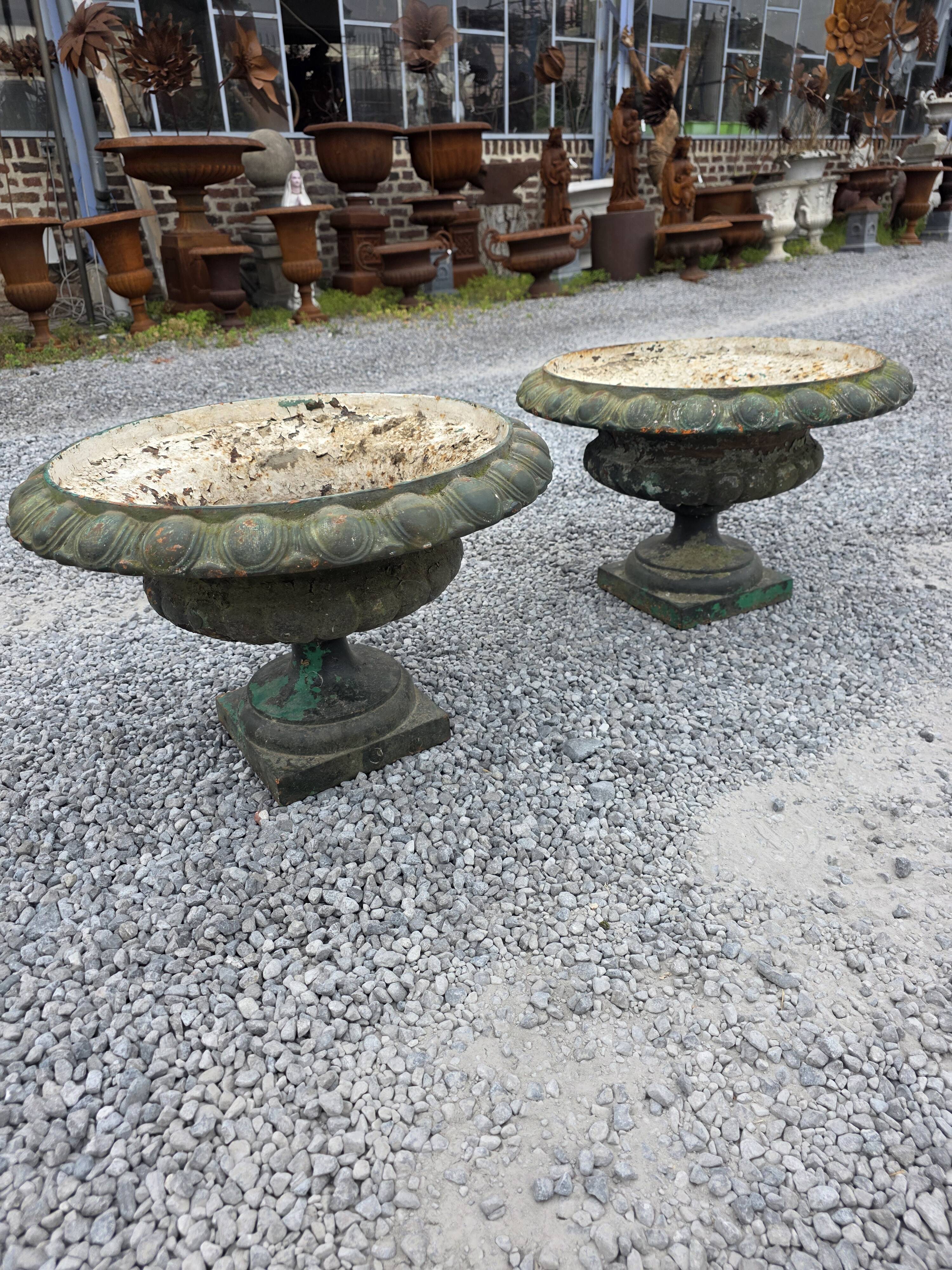 Pair of Medici vases in cast iron from the 19th century, 55cm wide.