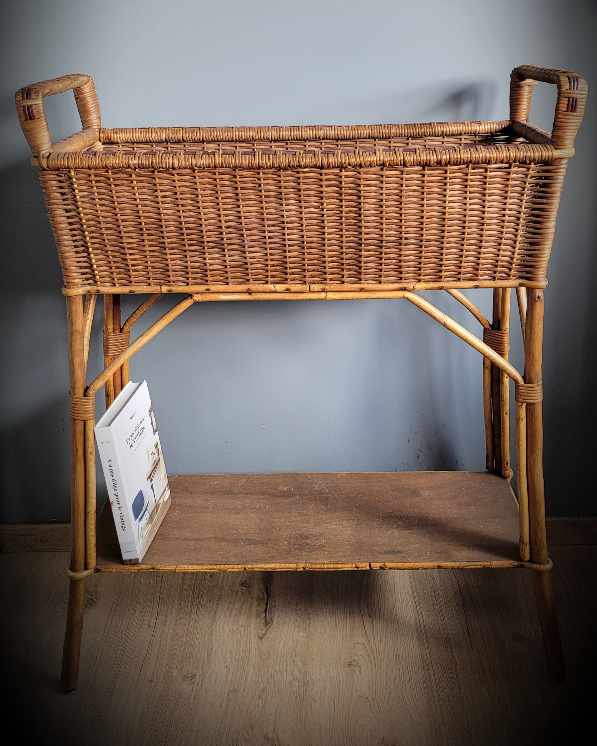 Planter door rattan plant