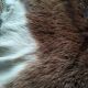 Goat skin carpet 114 X 90 cm