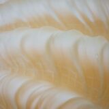 Applies shell shape, glass and brass.