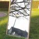 Mirror 1950