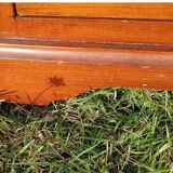 Mahogany and marble chest of drawers or chiffonier